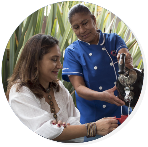 Descripción de la imagen