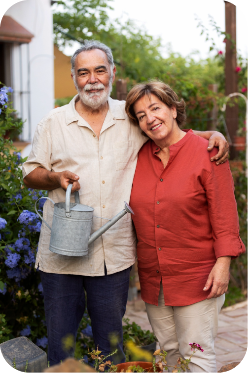 Descripción de la imagen